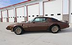 1979 Trans Am Thumbnail 29