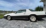 1983 Trans Am Pace Car Thumbnail 4