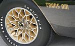 1977 Trans Am SE Thumbnail 12