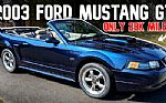 2003 Mustang Thumbnail 1