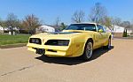 1977 Firebird Trans Am Thumbnail 1