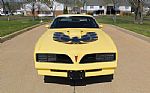 1977 Firebird Trans Am Thumbnail 4