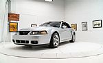 2004 Mustang Cobra Thumbnail 3