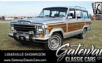 1989 Jeep Grand Wagoneer