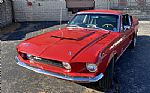 1967 Mustang Shelby Thumbnail 5