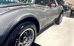 1978 Corvette Silver Anniversary Thumbnail 20