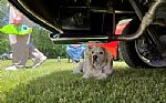 1948 Business Coupe Thumbnail 29