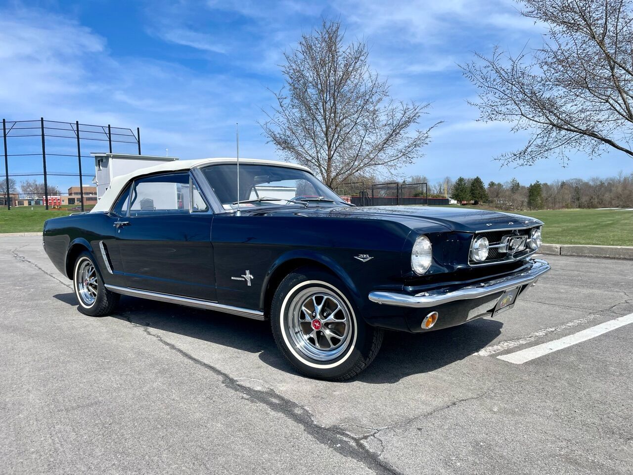 1965 Mustang Image