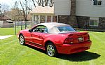 2002 Mustang Thumbnail 17