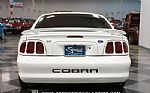 1997 Mustang SVT Cobra Thumbnail 10