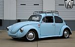 1971 Beetle Thumbnail 2