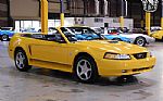 1999 Mustang Thumbnail 5