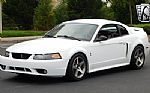 1999 Mustang Thumbnail 3