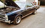 1967 GTO Thumbnail 4