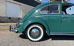 1966 Beetle Thumbnail 18