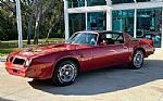 1976 Firebird Thumbnail 11