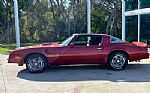 1976 Firebird Thumbnail 10