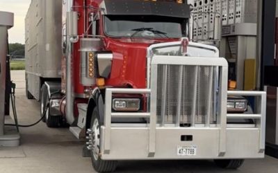 Photo of a 2006 Kenworth W900L for sale