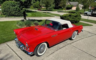 Photo of a 1955 Ford Thunderbird for sale