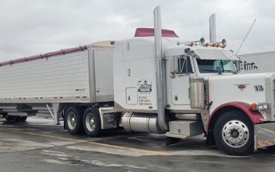 Photo of a 2000 Peterbilt 379 for sale