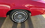 1981 Camaro Thumbnail 15