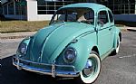 1961 Beetle Thumbnail 4