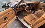 1979 Trans Am Thumbnail 22