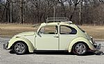 1969 Beetle Thumbnail 4