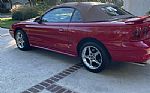 1997 Mustang SVT Cobra Convertible Thumbnail 3