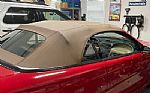 1997 Mustang SVT Cobra Convertible Thumbnail 4