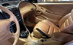 1997 Mustang SVT Cobra Convertible Thumbnail 7