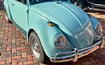 1966 Beetle Euro Model Thumbnail 1