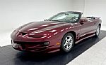 2002 Firebird Trans Am Convertible Thumbnail 2