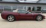 2003 Corvette Thumbnail 7