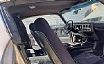 1979 Firebird Trans Am Thumbnail 12