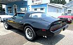 1981 Trans Am Thumbnail 4