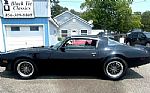 1981 Trans Am Thumbnail 6