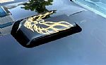 1981 Trans Am Thumbnail 10