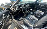 1981 Trans Am Thumbnail 13