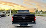 2019 F150 Thumbnail 12