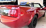 2006 Mustang Thumbnail 17