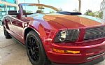 2006 Mustang Thumbnail 20
