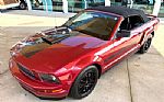 2006 Mustang Thumbnail 28