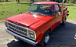 1979 D100 Pickup Thumbnail 77