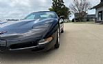 1999 Corvette Thumbnail 11