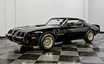 1979 Firebird Trans Am Y84 Special Thumbnail 5
