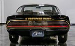 1979 Firebird Trans Am Y84 Special Thumbnail 10