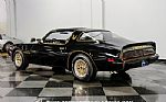 1979 Firebird Trans Am Y84 Special Thumbnail 8