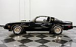 1979 Firebird Trans Am Y84 Special Thumbnail 6