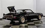 1979 Firebird Trans Am Y84 Special Thumbnail 69